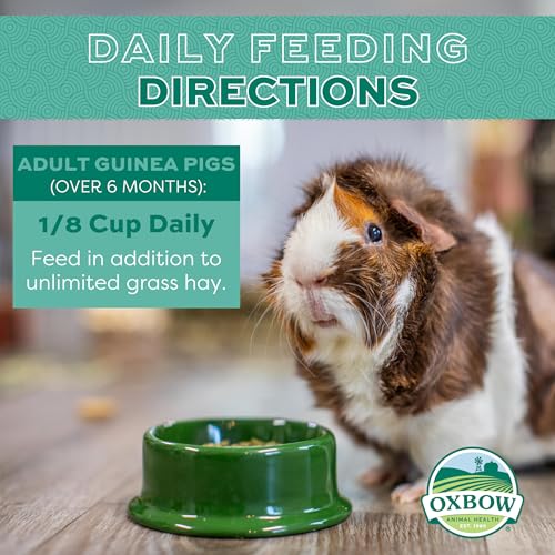 Oxbow Essentials Adult Guinea Pig Food - All Natural Adult Guinea Pig Pellets- No Artificial Ingredients- Veterinarian Recommended- All Natural Vitamins & Minerals- Made in the USA - 25 lb. | Guinea Pig Pellets, Vitamin C For Guinea Pigs, Stabilized, High