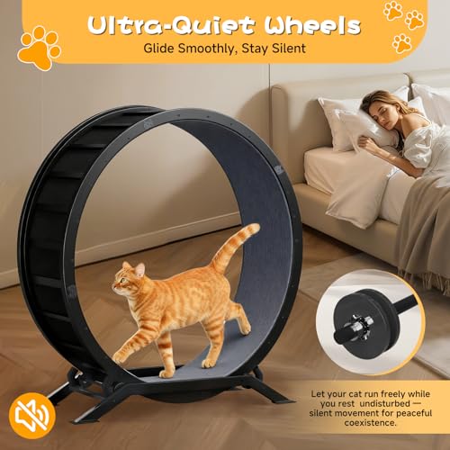 GTPLAYER Cat Wheels, 40" Diameter, Large Cat Exercise Wheel for Indoor Cats cat Treadmill Metal with Detachable Carpet & Teaser/Stickers, Ultra-Quiet Scroll Wheel with Latch, Safe and Stable, Grey