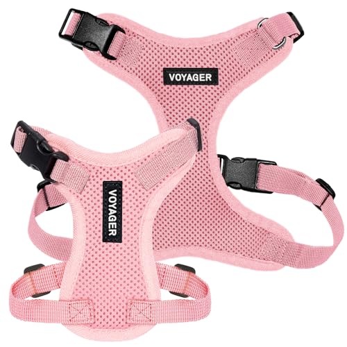 Voyager Step-in Lock Dog Harness - Pink, Medium | 17 - 21" in Chest, Adjustable, Breathable Air Mesh, Lightweight for Daily Walks, Strong Clips, Heavy Duty D-Ring - color: Harness (Pink), size: M (Chest: 17 - 21")
