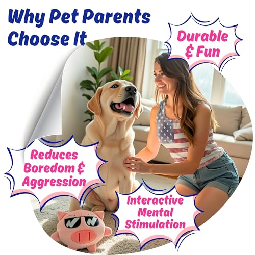 Dog Toy for Aggressive Chewers, Tough Squeaky Chew Ball, Large Breeds Gift | Super Strong, Durable Soft Plush Pig, No Stuffing Inside; Interactive for Puppies, Medium & Big Pets in a Birthday Gift Box - color: Pink