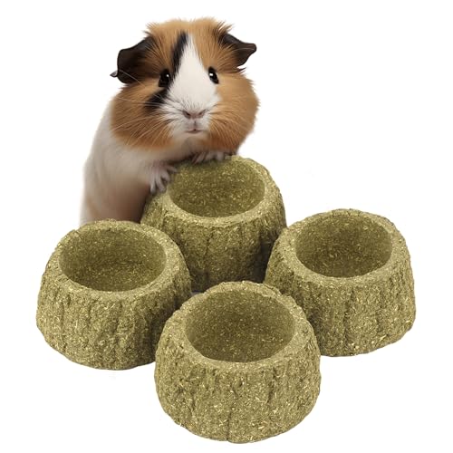 Evergreen Pet Supplies Edible Chew Bowl - Dental Support & Guinea Pig Toys - Treat Play with Edible Bowls for Rabbits - Durable Chew Toy for Small Pets - Pack of 4, Green & Brown