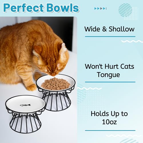 Cat Bowls, Elevated Cat Bowl, Raised Ceramic Dish with Metal Stand, Pet Water or Food Feeding Station for Indoor Cats, Kitten, Puppies and Small Dogs, Dishwasher Safe - color: Raised Cat Bowl