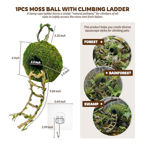 Moss Cave Hideout with Hanging Rope & Hemp Climbing Ladder – Natural Reptile Tank Decor Accessories for Crested Geckos, Chameleons, Tree Frogs, Leopard Geckos & Snakes. Terrarium & Vivarium Decor (6") - size: 6"