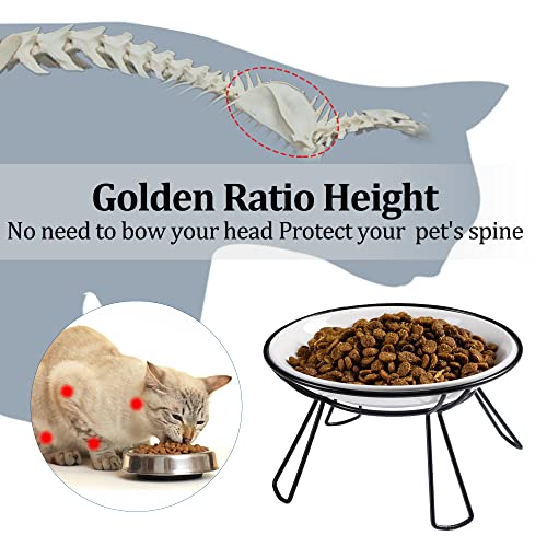 Cat Bowls, Elevated Bowl, Raised Ceramic Dish with Metal Stand, Pet Water or Food Feeding Station for Indoor Cats, Kitten, Puppies and Small Dogs(2 Pack) - color: Lucky Colver