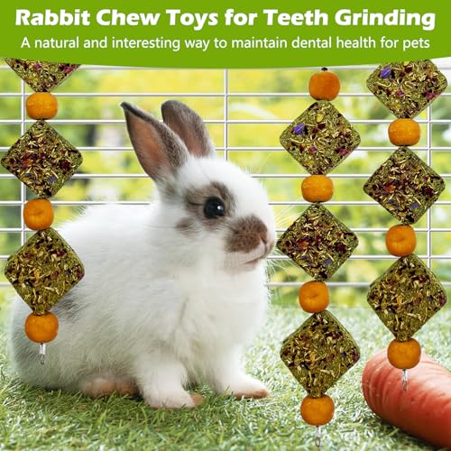 kathson Rabbit Chew Toys for Teeth Bunny Natural Timothy Grass Cake Guinea Pig Hanging Chew Toys Treats for Bunny Chinchilla Hamsters Squirrel and Other Small Pets Playing Improve Pets Dental - style: Style D