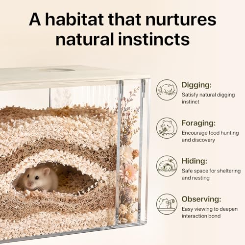 Fully Detachable Hamster Digging Box, Removable Acrylic Panels & Wooden Lid, Extra Deep Clear Panoramic Burrow, Dual-Side DIY Habitat, L Size for Syrian Hamsters, Gerbils, Degus - size: L(11.42''8.07''7.68)