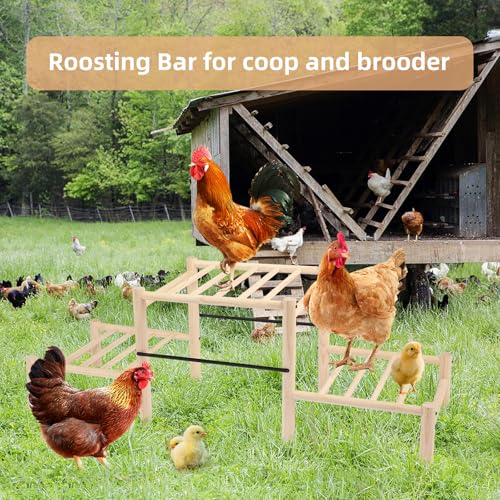 Chicken Perch, Natural Beech Wood Roosting Ladder for Poultry | Chick Perch for Strong Wooden Roosting Bar, for Poultry, Jungle Gym & Toys