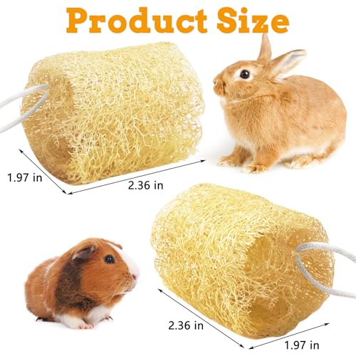 12 Pcs Rabbit Chew Toys Natural Bunny Loofah Chew Toy Chinchilla Teeth Grinding Toys Guinea Pig Fibre-Rich Treats Enrichment Bunny Accessories for Rabbits Hamster (M) - color: M- (12 PCS)