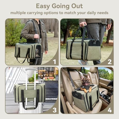 Petsfit Large Double Expandable Cat Carrier for Large Cats and Small Dogs | 19 x 12 x 12 in; dual-side expansion for large cats and small dogs, with anti-sag frame and locking zippers; up to 18 lb. - color: Green, size: 19"L x 12"W x 12"H