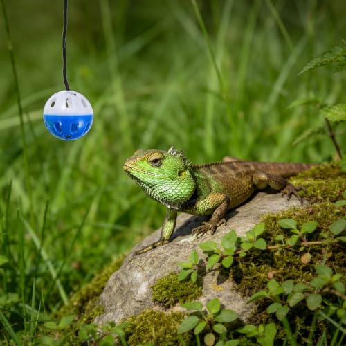 13PCS Bearded Dragon Toys, Set Including 1 Turtle Feeder Ball, 2 Bells Exercise Balls, 10 Climbing Stones,Interactive Toys for Reptile Tank, Lizard and Gecko Play