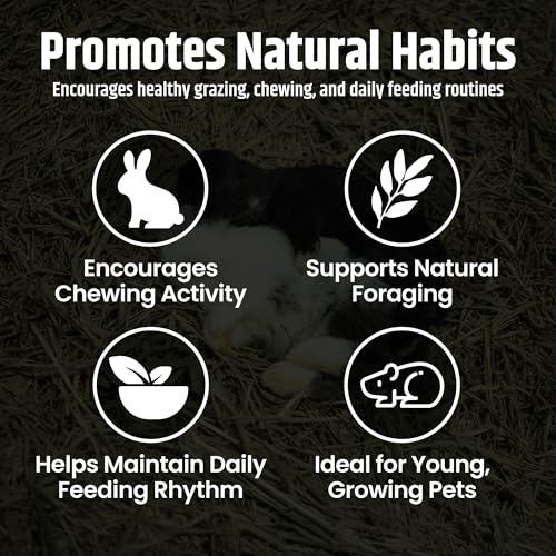 High Desert Alfalfa Hay for Young Rabbits and Guinea Pigs, 1 lb Box | Protein Rich Soft Leaf Forage, Ideal For Growing Kits And Nursing Mothers, Great Calcium Source, Hand Packed Fresh, Low Dust - size: 1 Pound (Pack of 1)