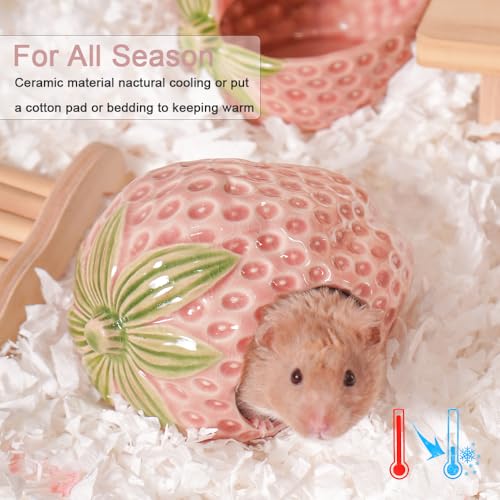 Ceramic Hamster Hideout Strawberry Chew Proof Syrian Hide Cool Bed | Easy to Clean Durable Ceramic Guinea Pig House, Good Hiding Hut Cave for Gerbil, Mice, Rat All Season，Cute Pink Habitat Decor - color: Pink