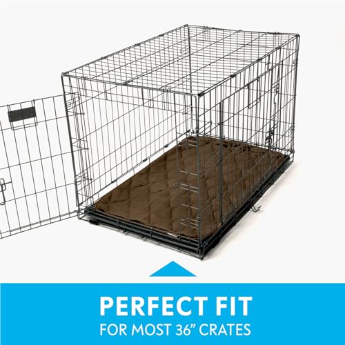 Paw Inspired Washable Padded Crate Mats for Dogs, Dark Brown, 35x22 Inch | Fits 36-inch Kennels, Leakproof, Waterproof Bottom, Plush Dog Pad, Pet Bed - color: Dark Brown, size: 36 Inch