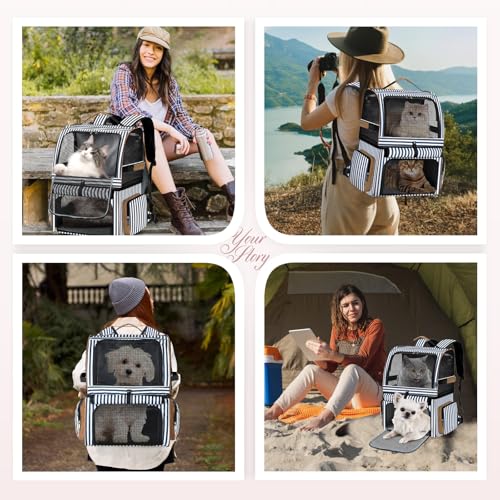 Double Cat Backpack Carrier for 2 Cats, Double-Compartment Pet Carrier Backpack for 2 Small Cat or One Medium Cat, Cats Carrier Backpack Dog Carrier Backpack Fits Up to 24 Lbs,Blue Striped - color: Striped
