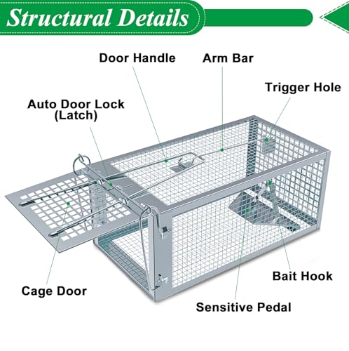 2 Packs Humane Rat Mouse Trap Outdoor Live Animal Cage Indoor & Outdoor | Silver Iron Galvanization, Reusable Safe for Children & Pet, Waterproof