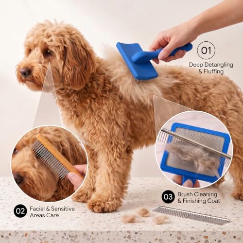 Wooden Long Pin Slicker Brush for Large Dog, Poodles & Doodles Long Hair | Grooming, Fluff & Detangle Heavy Dense Wavy Curly Coats to Easily Prevent Severe Hair Matting During Shedding Seasons - color: Blue