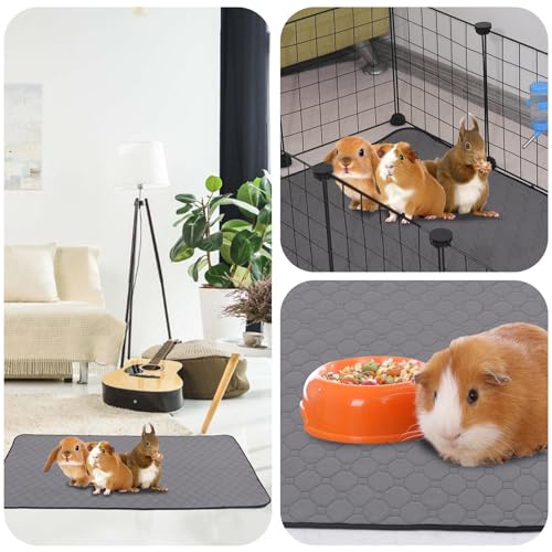 2Pack Guinea Pig Cage Liners, 28''X28'' Washable Guinea Pig Pee Pads, Non Slip Reusable Super Absorbent Guinea Pig Training Mat Bedding Fleece for Small Animals Hamster Rabbit Chinchilla Rat - size: C&C 2x2(28" x 28") 2Pack