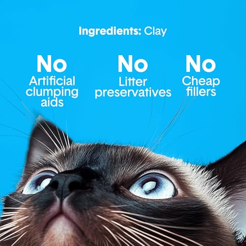 Boxie Premium Unscented Clumping Cat Litter 30 Day Odour Control 40 lb - size: 40 lb
