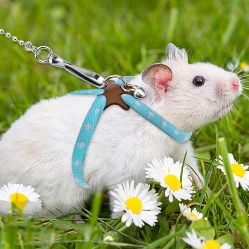 Hypeety Syrian Hamster Leash Harness Set Adjustable Training Walking Lead | Adjustable 3.14-7.07'' chest, 32.60'' lengh, soft nylon leash with finder bells, for hamster/rat/gerbil, easy to put on, blue - color: Nylon Blue 32.7"