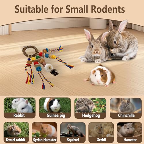 Bunny Chew Treat Toy for Teeth, Rabbit Cage Hanging Chew Toys and Rattan Ring with Snack,Natural Material Handwoven Chinchilla Treats Toys for Guinea Pig Gerbils Hamster Rat Teeth Grinding - color: Classic