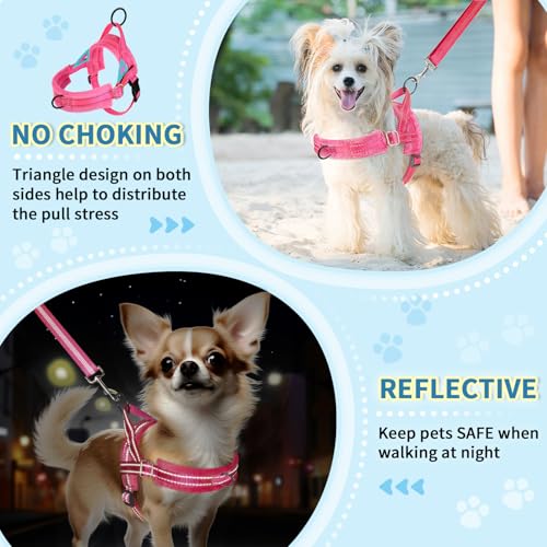 Lukovee Small Dog Harness and Leash Set, No Pull Soft Padded Vest | Both Neck & Chest Adjustable, Reflective, Puppy Harness with 4ft Lightweight Anti-Twist Dog Leash for Small Dogs (Pink, M) - color: B-pink, size: M ( Chest 19.7'' ~ 29.1'')