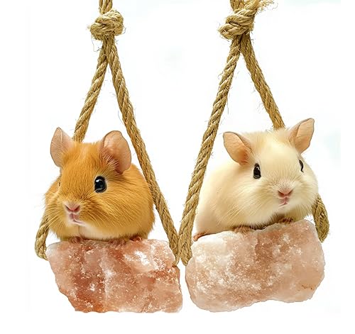 Himalayan Small Pets Salt Lick - 6 Count Natural Mineral Salt Chew Toys with Rope - Treats for Guinea Pig Rabbits Bunny Ferrets