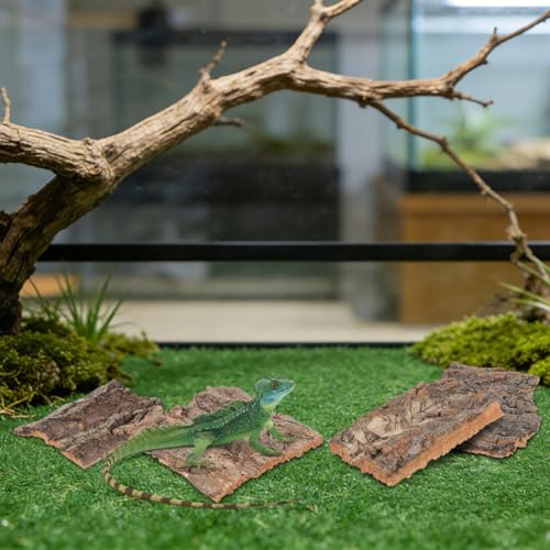 TOYANDONA Reptile Bark Hide 4 Pcs Tree Bark Pieces for Climbing Platform Terrarium Decor for Snake Lizard Gecko Tortoise Habitat Accessories 5.11 X 1.49 X 0.39 in