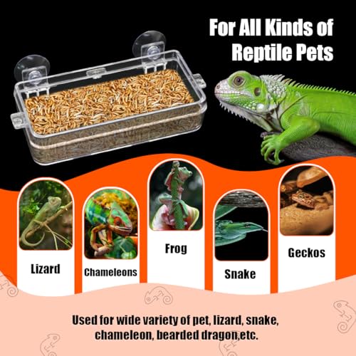 Reptile Suction Cup Feeder 2 Pack, Anti-Escape Food Bowl | for Gecko Lizard Iguana Chameleon Spider Frog Snake, Wall Mount Strong Suction Feeding Dish (White, M) - color: White, size: M