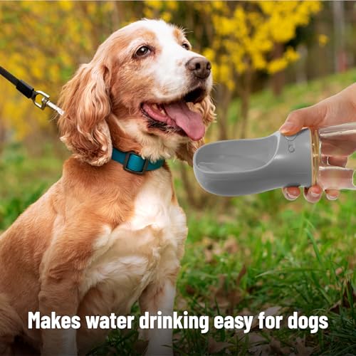 Mr. Pen- Portable Dog Water Bottle, 19 oz, Large | Leak Proof Puppy Water Dispenser with Drinking Feeder for Pets, Outdoor Walking, Hiking, Travel, Not Dishwasher Safe - color: Gray