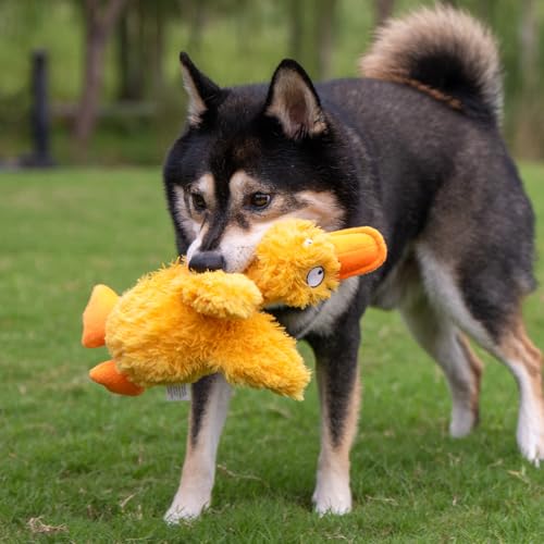 Best Pet Supplies Squeaky Plush Dog Toy - Ducky Doodle, Small | Soft Plush, Squeaks & Crinkles, Perfect for Moderate Chewers, Toss & Fetch Play, Stress & Anxiety Reliever, Ideal Gift Toy - color: Ducky Doodle (Yellow), size: Small
