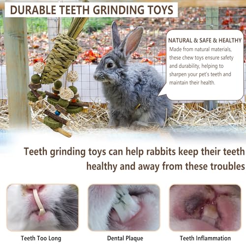 Rabbit Chew Toy, Bunny Cage Hanging Chew Toy & Treats,Natural Material Handwoven Chinchilla Treats Toys for Guinea Pigs Hamsters Rats and Other Small Pets Teeth Grinding - color: Grass Radish Style