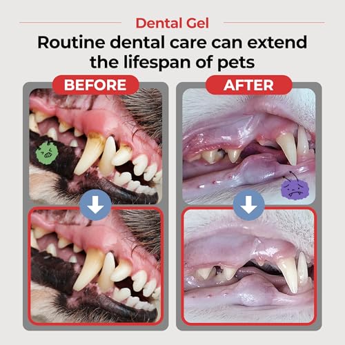 JAYU PET Dental Gel Dog Cat Toothpaste, 2.8 Ounce | Removing Plaque and Tartar, Teeth Cleaning & Breath Freshener, Puppy Kitten Dental Care - color: Toothpaste, size: 1 Count (Pack of 1)