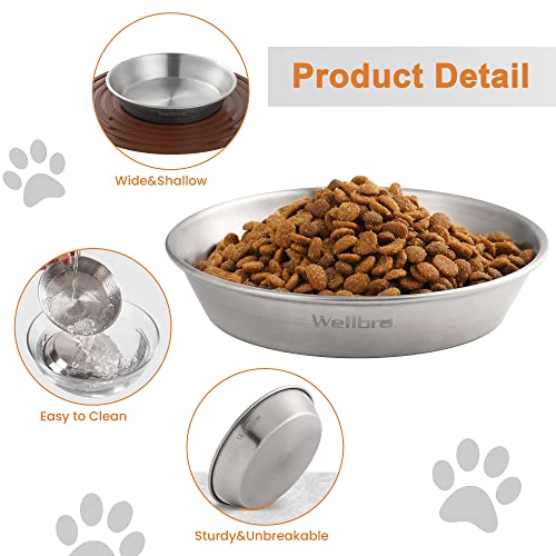 Cat Food Bowls, 2 Pcs Stainless Steel Cat Food and Water Bowls, Whisker Fatigue Shallow Cat Dishes, Small Dog Puppies Fat Faced Cat Kitten Supplies - color: 2 Basic Bowls