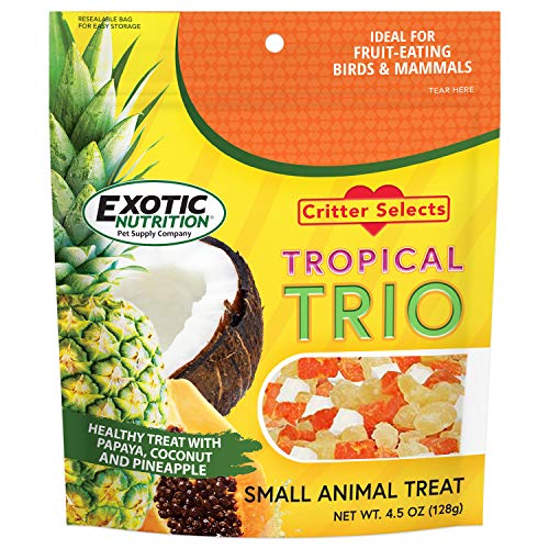Tropical Trio - Healthy Natural Mixed Dried Fruit Treat - Papaya, Coconut, Pineapple - for Sugar Gliders, Squirrels, Prairie Dogs, Skunks, Marmosets, Parrots, Birds, Rats, Small Pets (4.5 oz.)