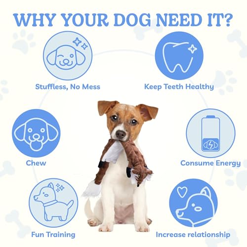 SHARLOVY Dog Squeaky Toys 5 Pack, Bubble Plush Puppy Teething Pet Toys, Crinkle No Stuffing Animals Dog Toy, Doggies Chew for Large Small Medium Breeds - color: Bubble Plush-5 Pack, size: Large