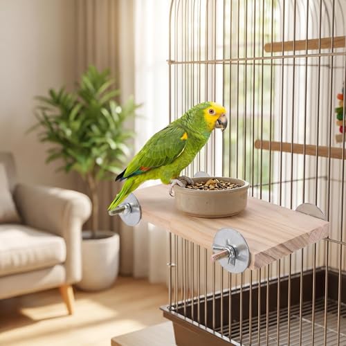 2Pcs Solid Wood Parrot Stand and Small Animal Climbing Platform