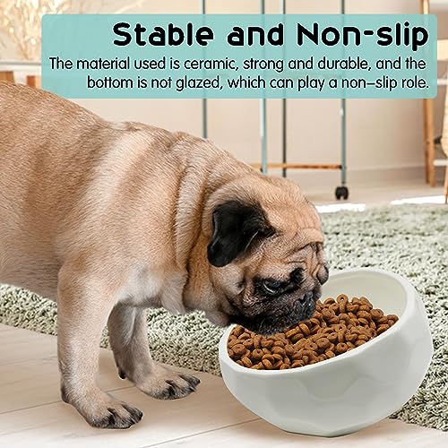 kathson Slanted Ceramic Dog Bowl Tilted 15° Cat Food Water Bowls Dish Animal Pet Comfort Feeding Bowls Heavy Weighted Feeder for Wet or Dry Food (White) - color: White