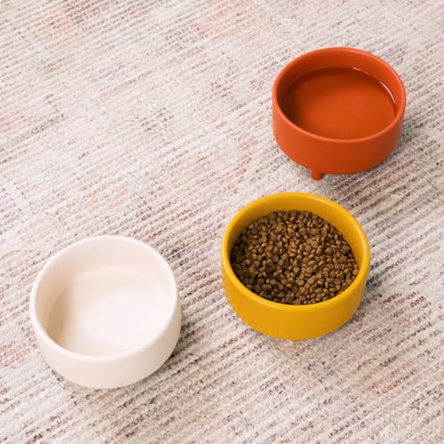Waggo Uplift Ceramic Dog Bowl for Small Medium and Large Breeds - Heavyweight and Durable Pet Food and Water Dish Crock, Dishwasher Safe, Modern, Elevated Feeder (Mustard, Small) - color: Mustard, size: Small