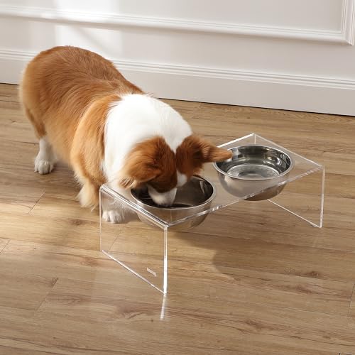 DBL2001A Keaton 7.5" Medium/Large Modern Lucite Rectangular Elevated Pet Feeder with 54oz 2-Stainless Steel Bowls, Clear/Chrome - color: Clear/Chrome, size: 54 Ounces (7.5" Cups 2-Pack)