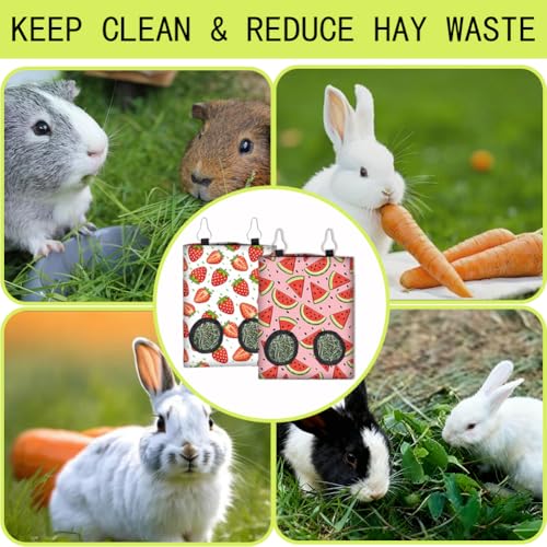 2Pcs 2 Styles Strawberry Hay Feeder Bag for Guinea Pigs Chinchillas 11.6 x 9.1 Inch Small Pet Hay Bag with 2 Holes Strawberry Watermelon Cloth Washable Pet Feeding Storage Cage Accessories - color: Strawberry