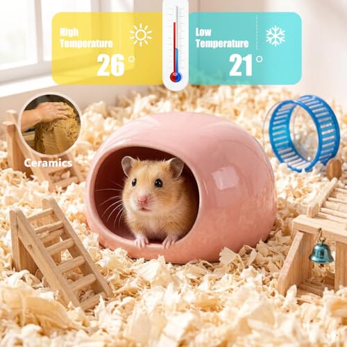 2-Pack Small Animal Backpack Carrier & Ceramic Hamster Hideout for Cooling Summer, Hamster House and Habitat Cool Bed for Other Similar-Size Small Pet Gerbil Rat Chinchilla - color: Green