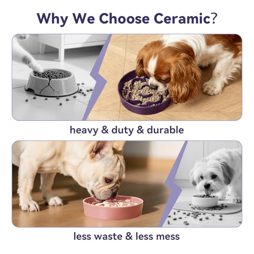 Ceramic Slow Feeder Dog Bowl, 0.8 Cups Anti -Slip Slow Feeding Bowl to Slow Down Eating, 6.3 Inch Dog Food Dish for Small Breeds, Grey - color: Grey, size: Small