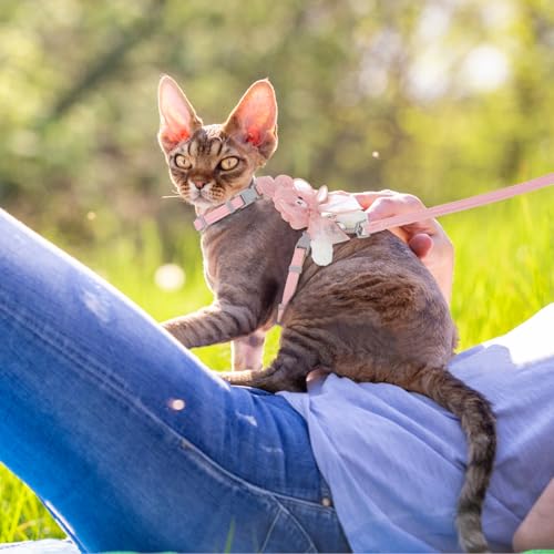 TIESOME Cat Harness and Leash Set, Adjustable Gradient Kitten Harness | Escape Proof Harness with Leash for Kitty Outdoor Walking - color: Ribbon Bear Pink
