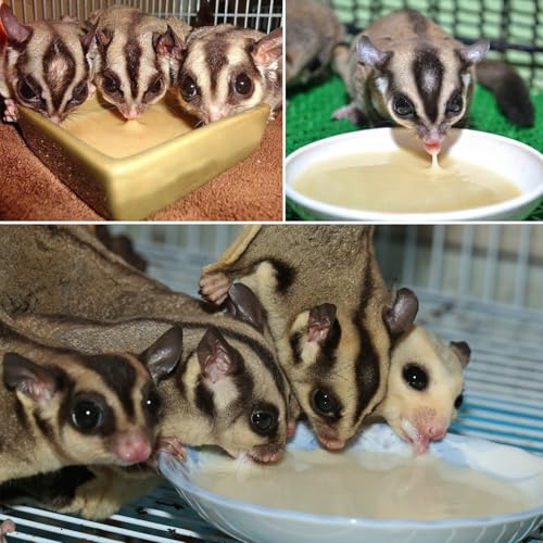 Exotic Nutrition Starter Package for Sugar Gliders - Includes Exercise Wheel, Food Assortment, Water Bottle, Food Dishes & Nest Pouch