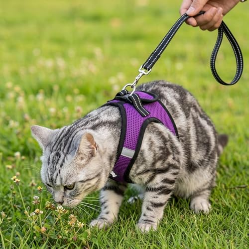 Cat Harness and Leash Escape Proof, Soft Breathable Mesh Kitty Walking Vest, Adjustable Step-in Kitten Harness Set with Reflective Strip for Small Cats - color: Purple, size: Medium