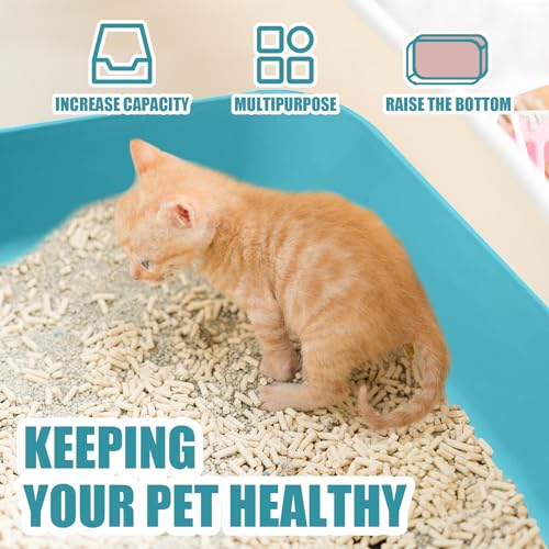 Small Litter Box, Plastic Kitten Litter Box, 13.9 x 9.8 x 3 Inch Open Litter Box for Small Pet, Easy to Clean (Blue 4PCS) - color: Blue 4PCS