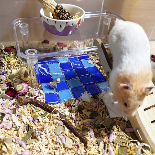 Hamster Platform Acrylic Small Animal Play Activity Resting Stand Climbing Cage Toy with Ladder for Dwarf Syrian Hamsters Gerbils Mice Sugar Glider - color: Transparent(1PCS)
