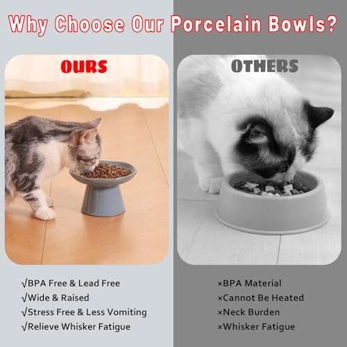 Extra Wide 6.1" Ceramic Raised Cat Food Bowl, Shallow Elevated Pet Feeder for Food Feeding, Anti Vomiting Whisker Fatigue Bowls for Cat Puppy, Blue - color: Blue-Shallow