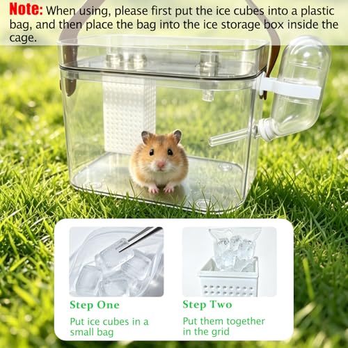 Hamster Carrier Portable Travel Cage with Water Bottle for Dwarf Hamsters Frogs Budgerigars Snails (Small)