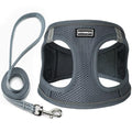 Dog Harness with Leash Set, Step-in Adjustable Puppy Pet Vest, Grey XXS | Lightweight Breathable Air Mesh, Night Safety Reflective, No Pull Puppy Vest Harnesses for Small Medium Large Dogs, Cats - color: Grey, size: XXS(Chest:10"-12")